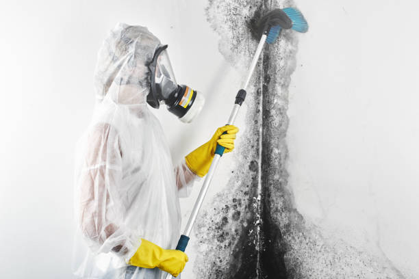 Best Mold Remediation for Healthcare Facilities  in Keystone Heights, FL