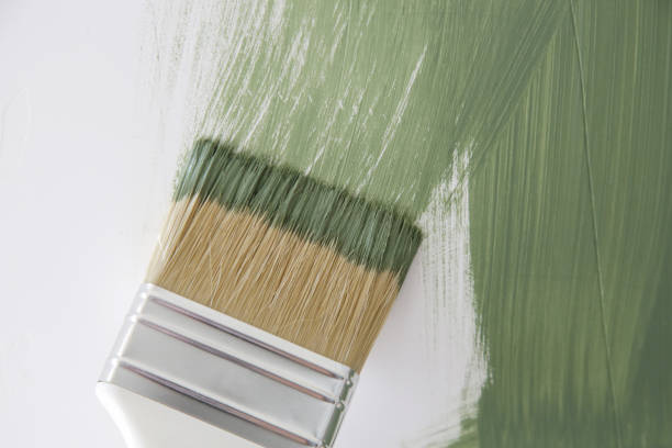 Best Emergency Mold Remediation  in Keystone Heights, FL