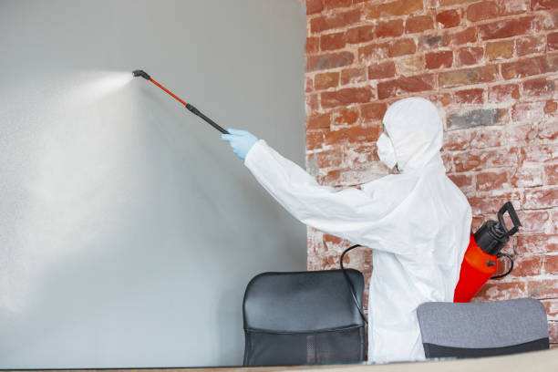 Environmental Consulting for Mold Prevention in Keystone Heights, FL