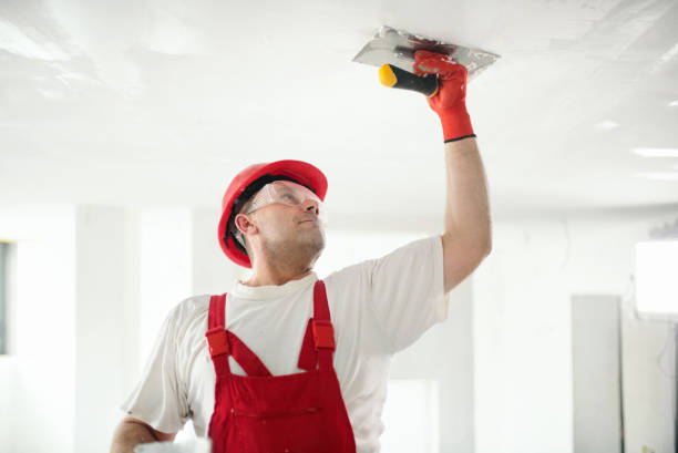 Biohazard Mold Removal in Keystone Heights, FL